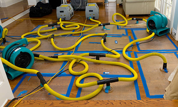 Professional Basement Flood Cleanup technician working in Washougal, WA